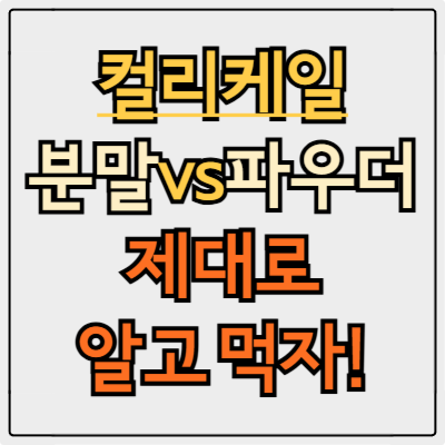 컬리케일 분말 vs 파우더, 효과 차이? 제대로 알고 먹자!