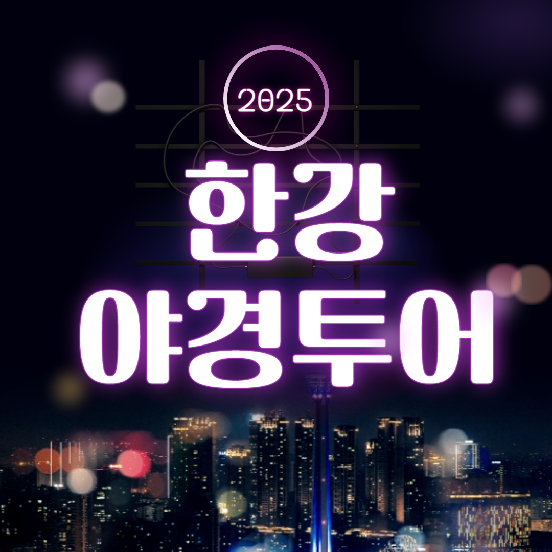 2025 한강야경투어
