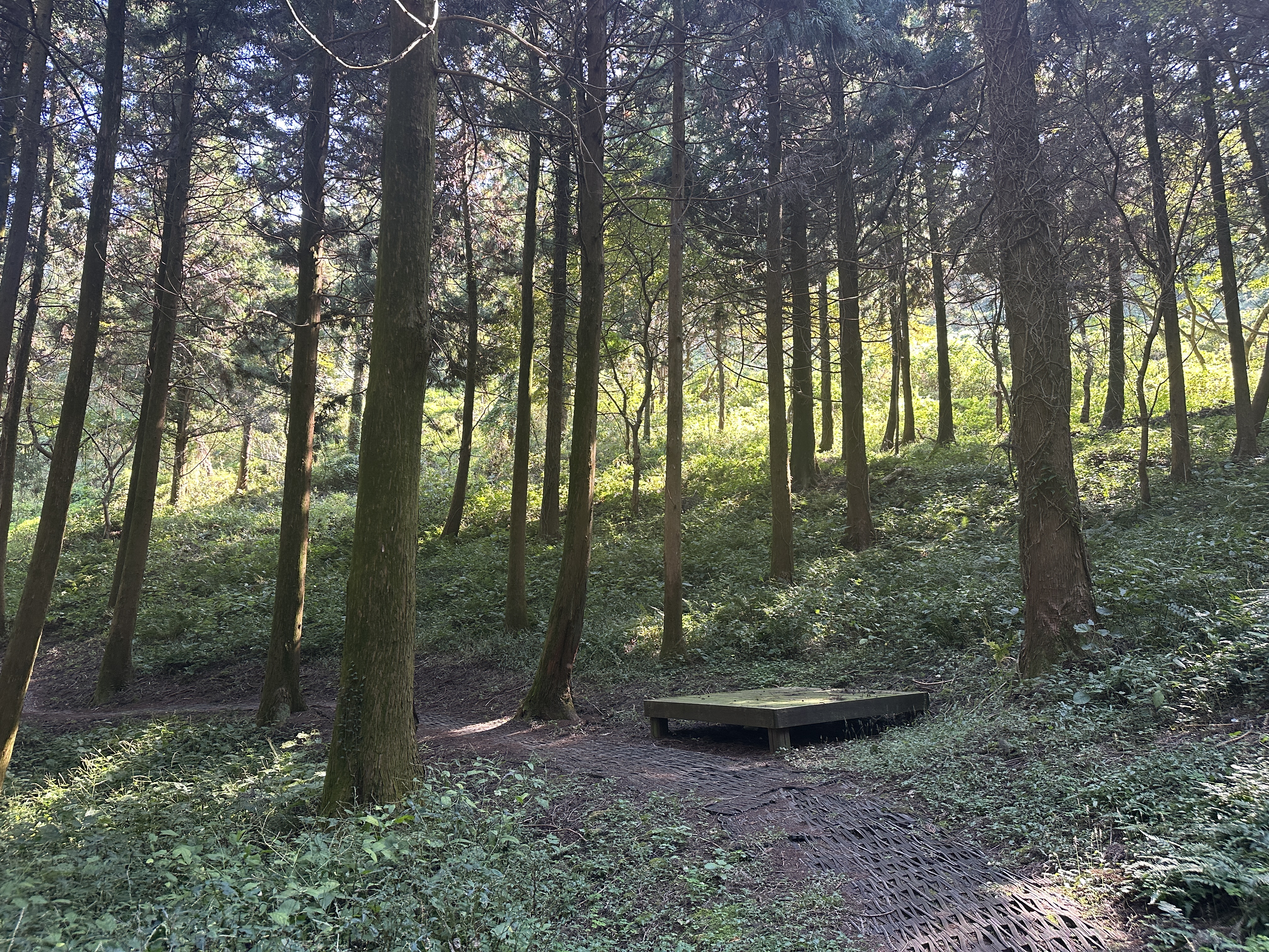 안세미 오름 탐방로