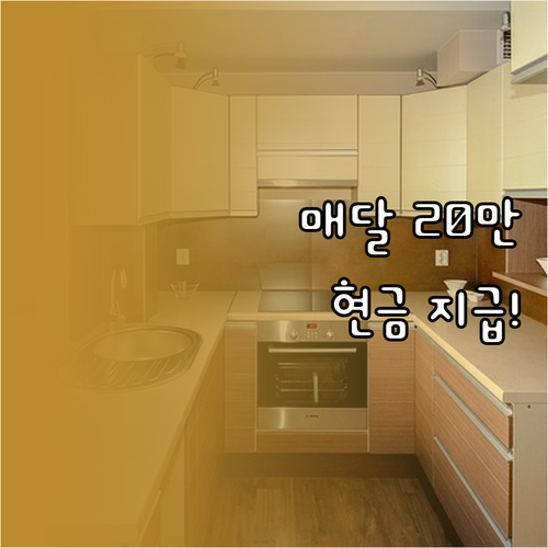 영월군 청년 주거비 지원 매달 20만..
