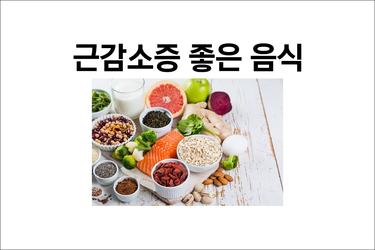 근감소증에 좋은 음식
