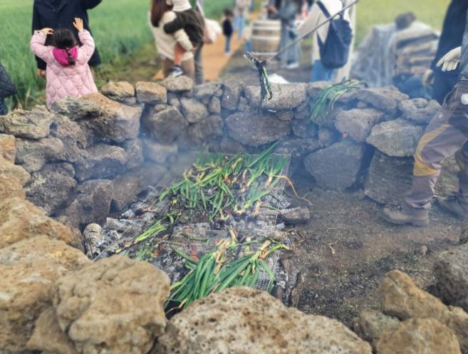 제주 가족여행 대파축제 보롬왓