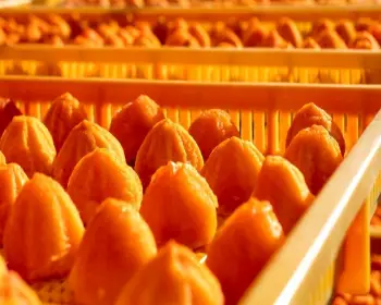 지리산 산청곶감축제_23