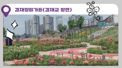 겸재장미가든