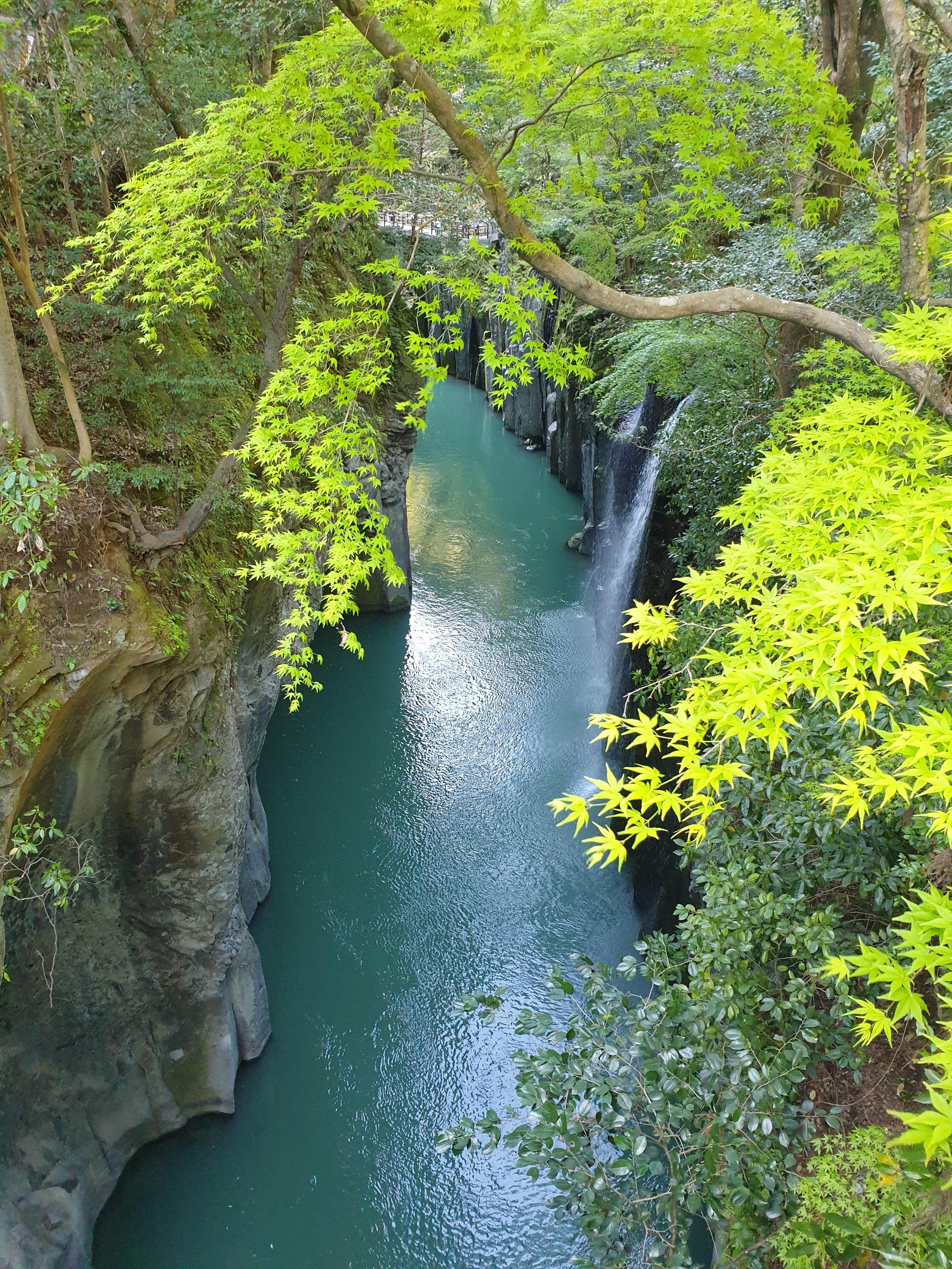 초록빛 단풍 사이로 폭포와 푸른 강물이 어우러진 타카치호 협곡의 신비로운 풍경