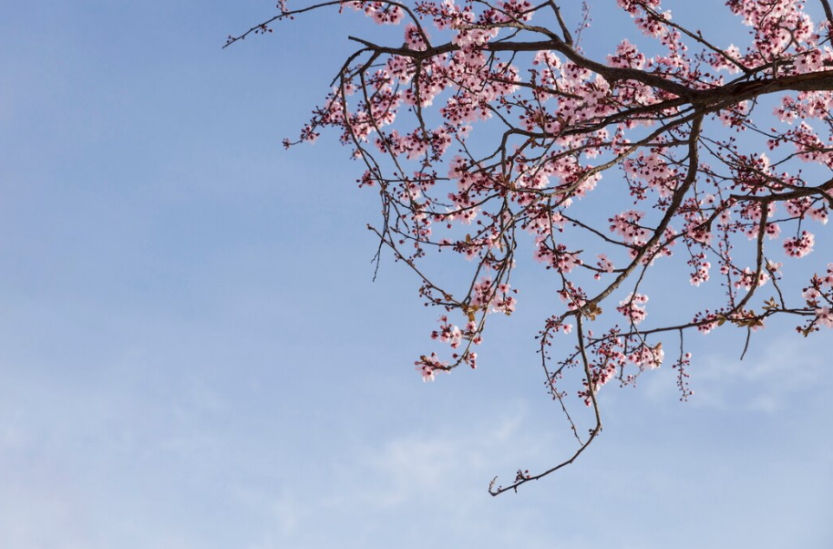 4월 셋째 주 (4월 15일 - 4월 21일)