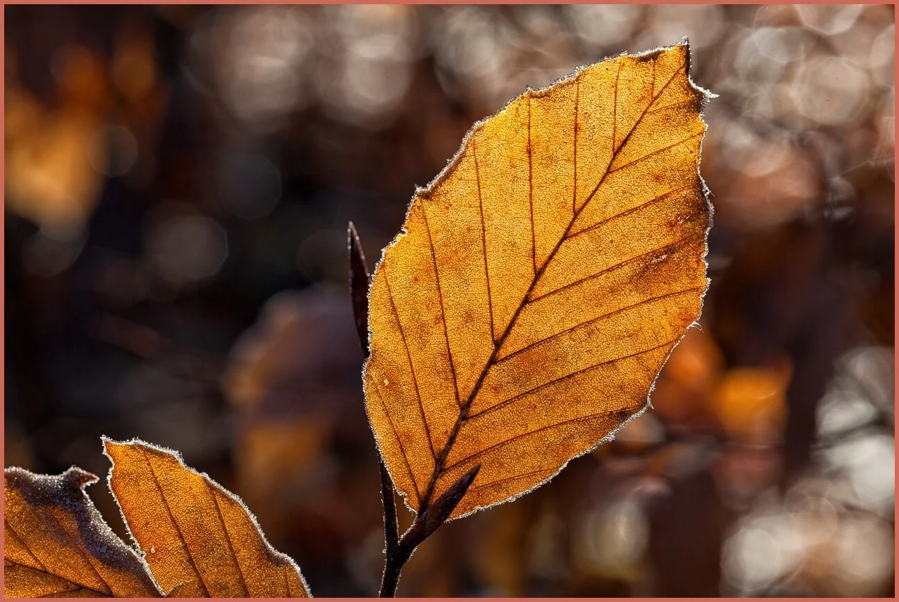 정기예금 금리 가장 높은곳