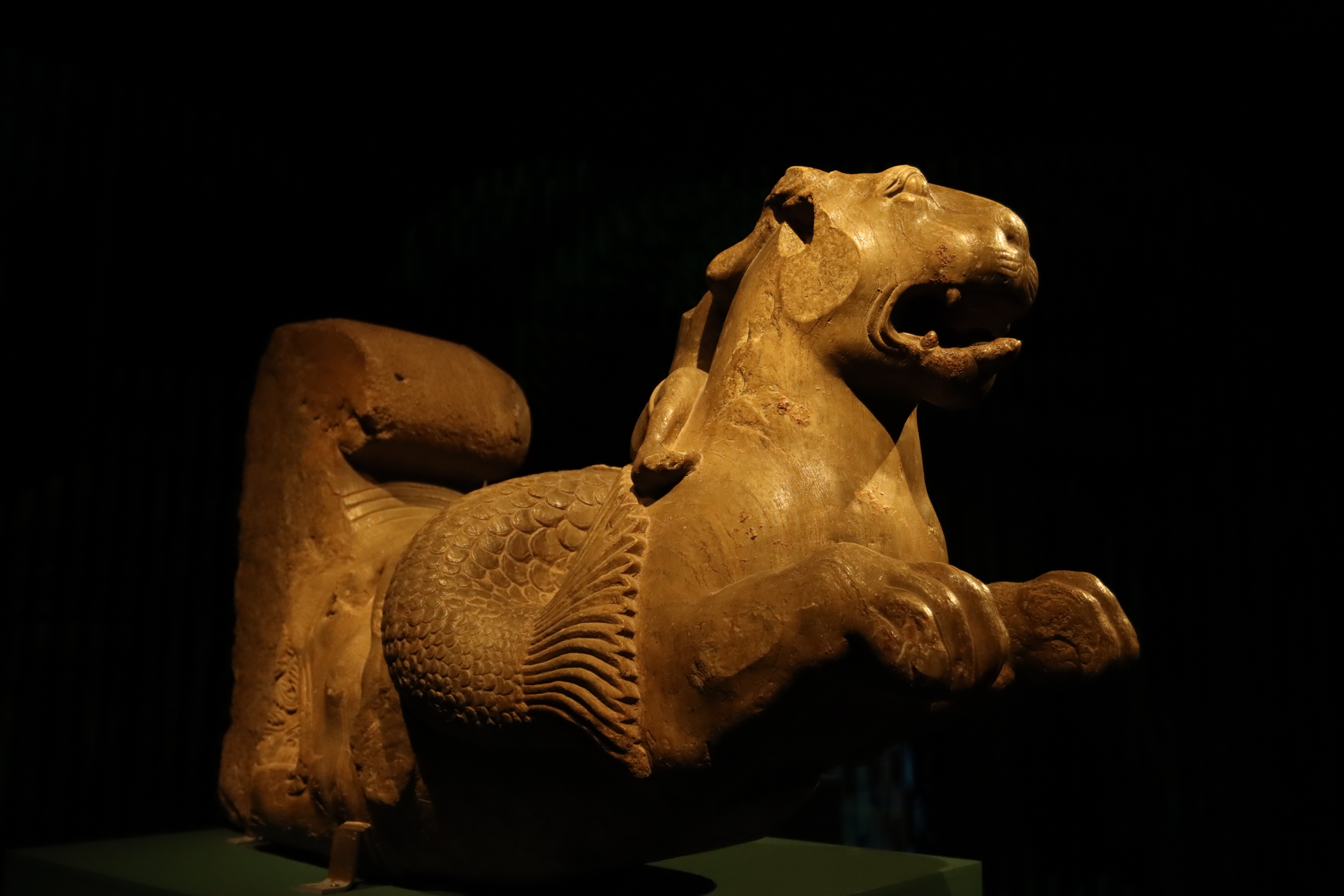 스투파의 숲