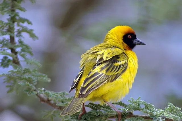 한국 사투리 테스트 나는 어느 지역 사람처럼 말할까_3