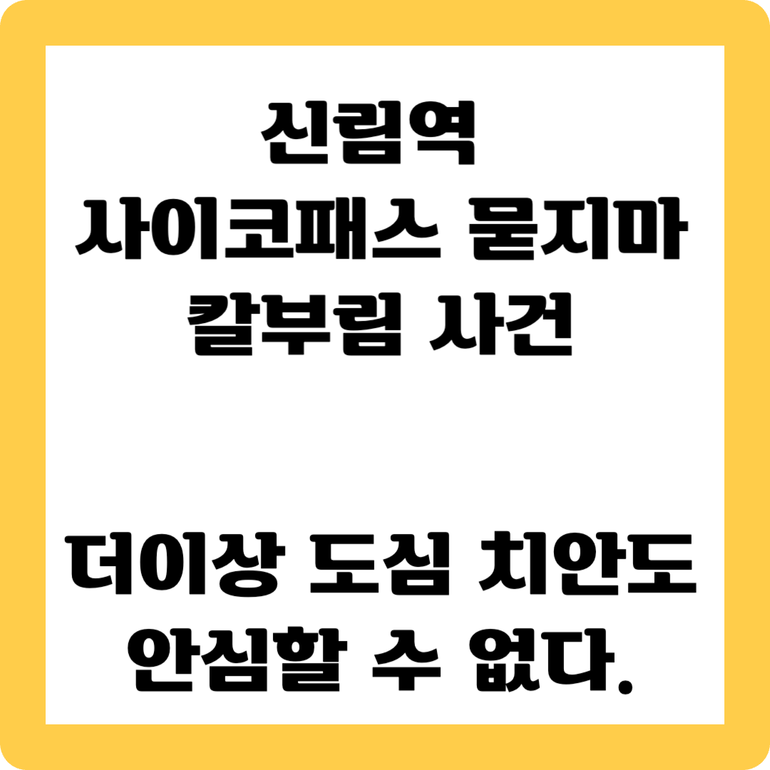 신림역 묻지마살인