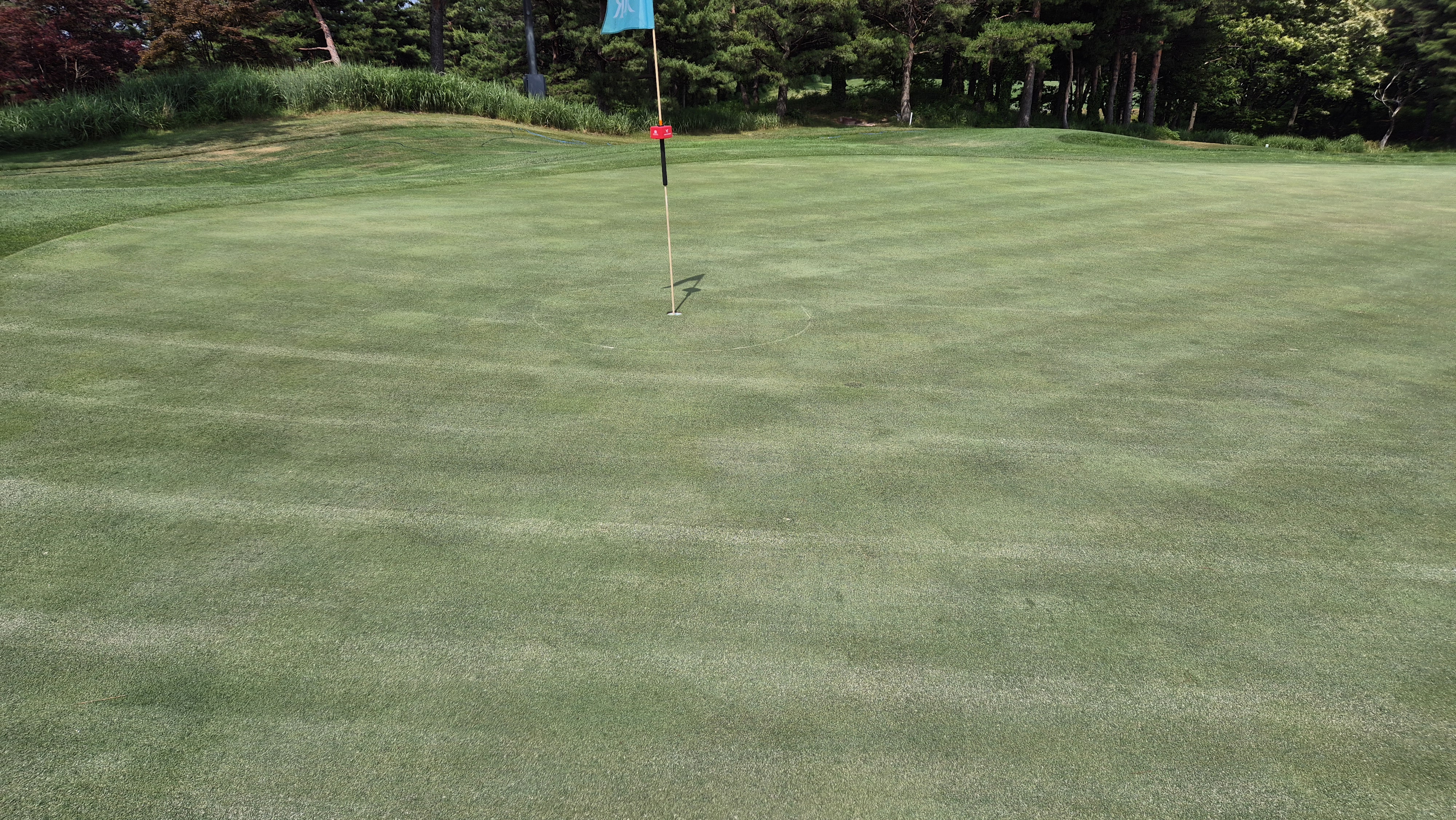 파인리즈cc 라운드 후기