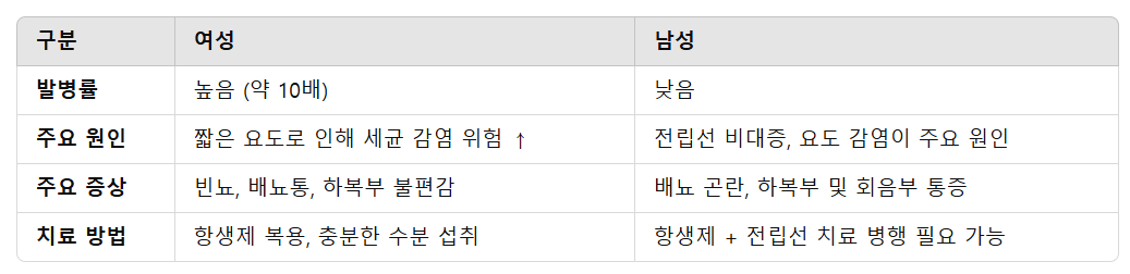 남성과 여성의 방광염 차이점