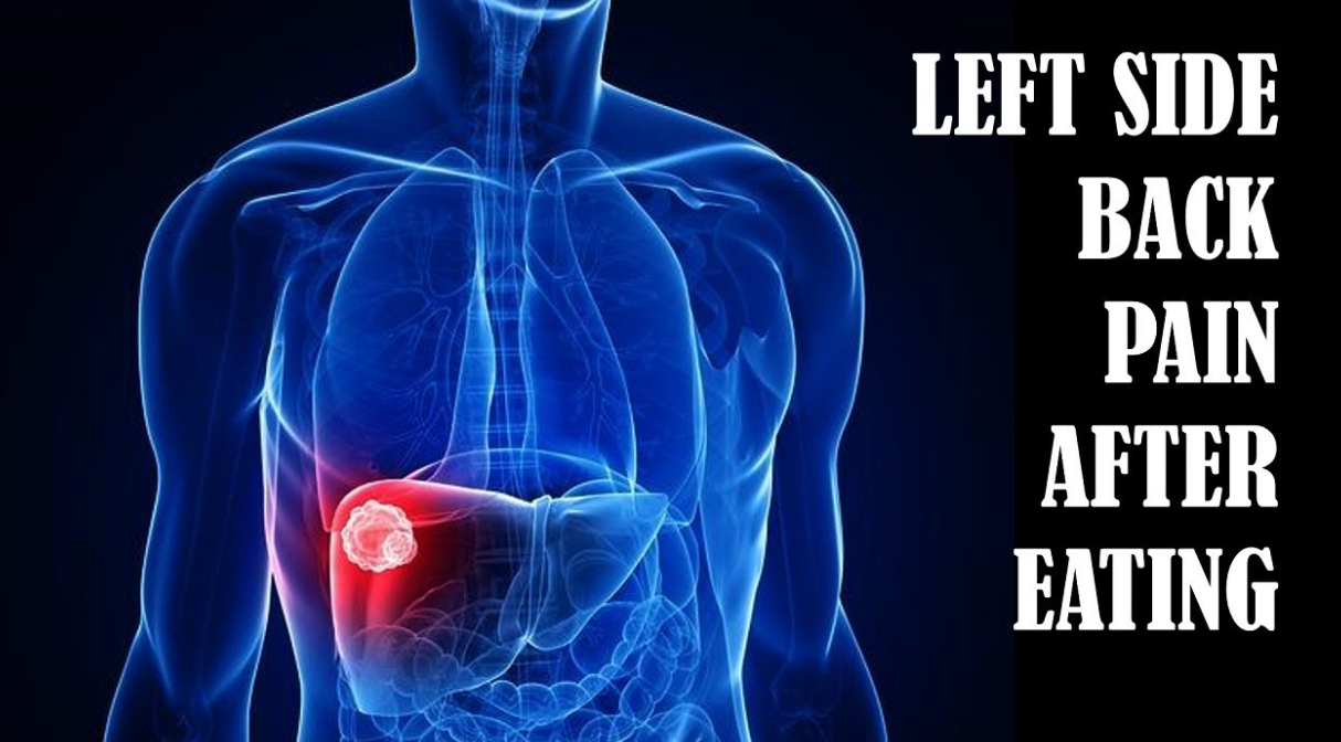 왼쪽 등쪽 통증