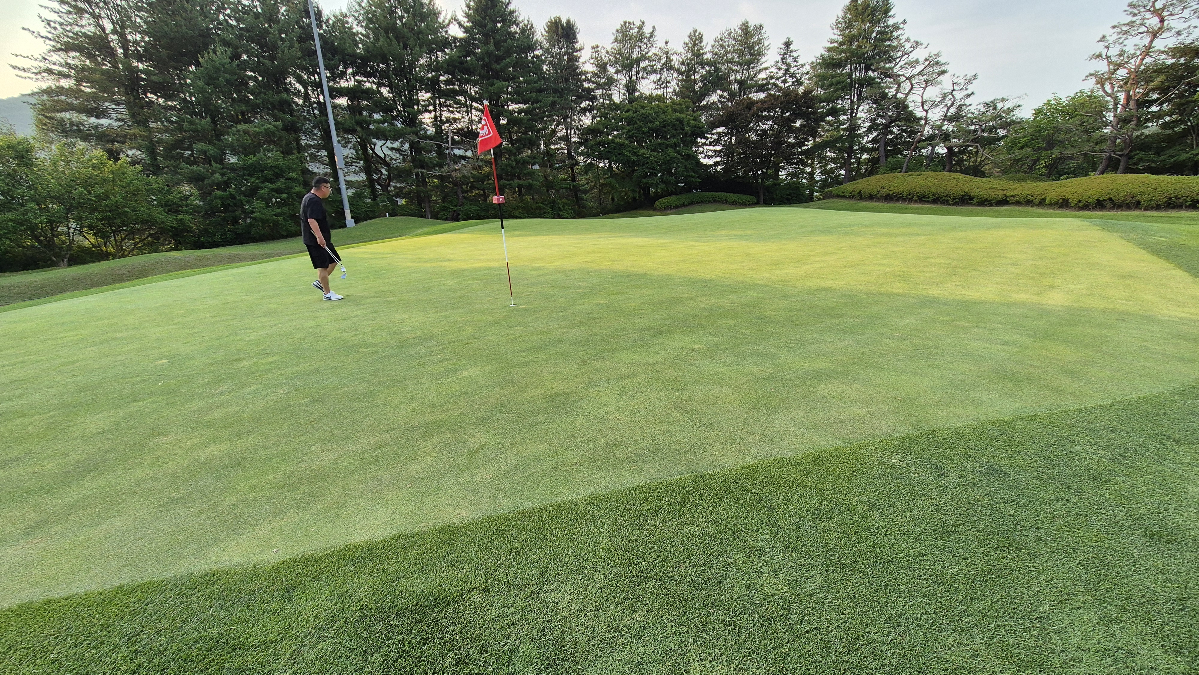 이포cc 라운드 후기