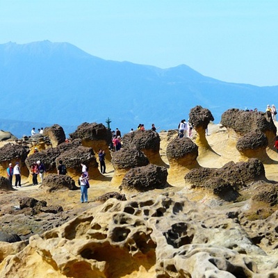 대만여행지원금