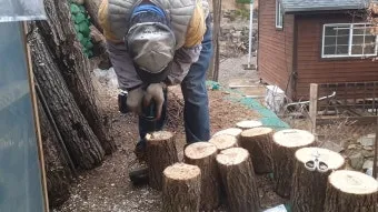 느타리버섯 재배 배지 수분 온도 관리 초보 성공_14