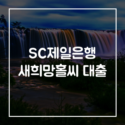 SC제일은행-새희망홀씨-대출