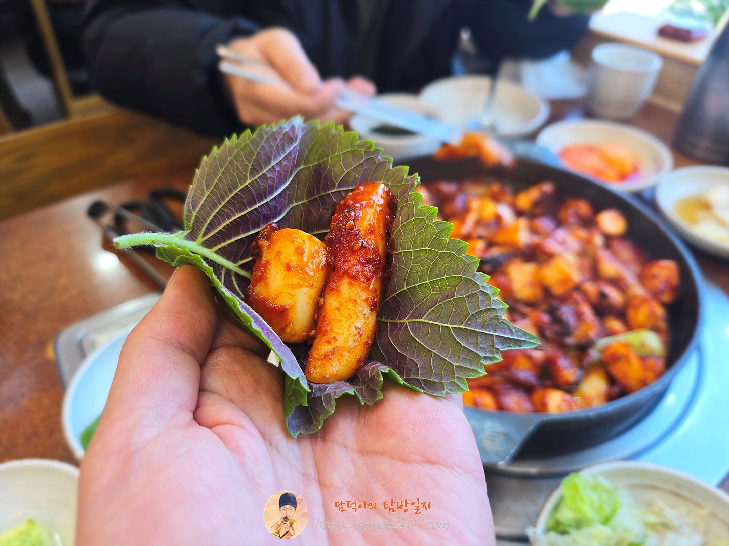 갑오징어 불고기