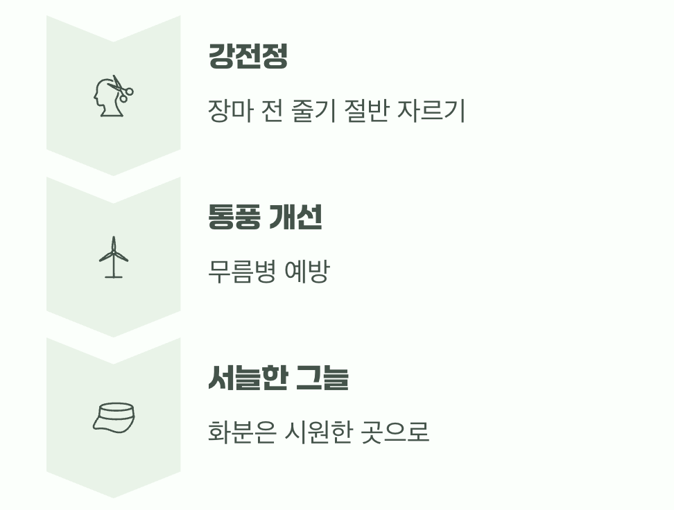 가장 힘든 계절, 여름을 이겨내는 법