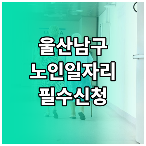 울산 남구 시니어클럽 노인일자리 유형..