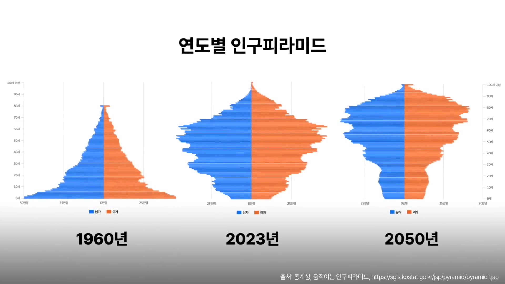 연도별 인구 피라미드