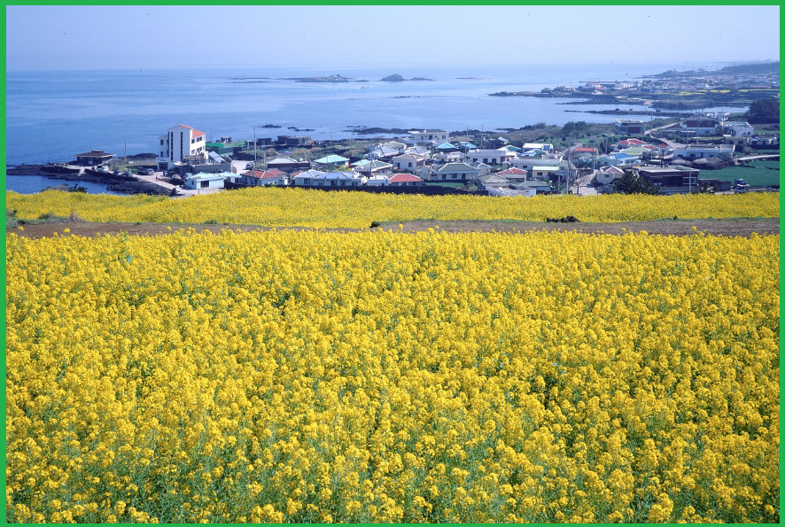 봄-여행지-베스트