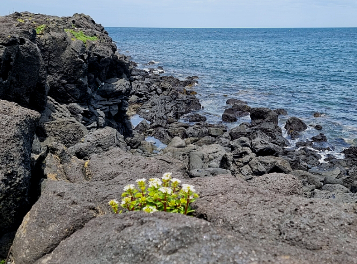 우리나라 해안가와 내륙의 식문화 차이