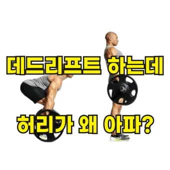 데드리프트 고중량 저반복 vs 저중량 고반복 비교 정리_11