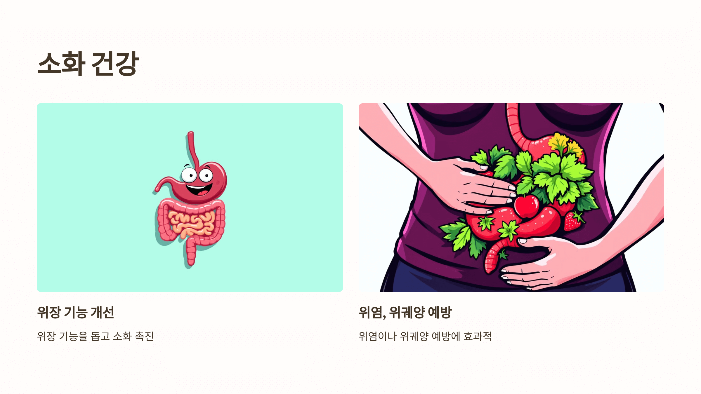 오미자 사진입니다.