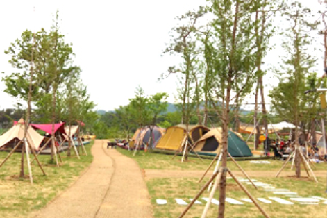 안성 팜랜드 캠핑장