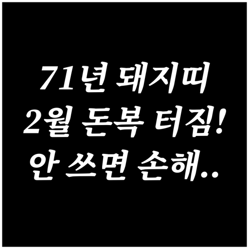 71년생 돼지띠 2월 금전운 흐름 시..