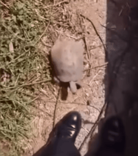 11월 24일 신문스크랩