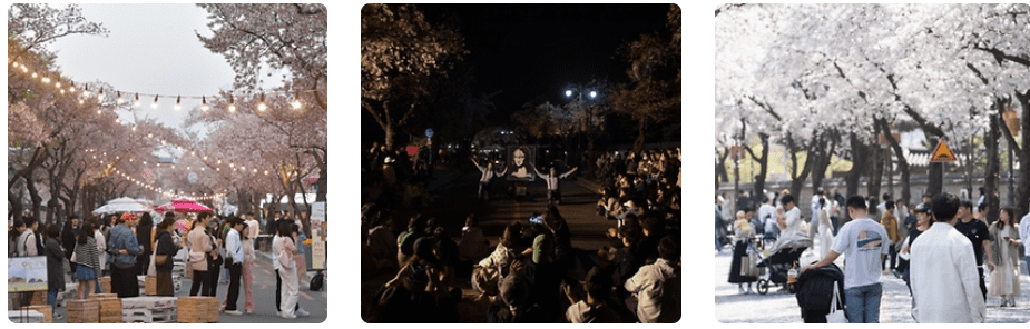 3월여행지추천, 가볼만한곳, 봄꽃여행