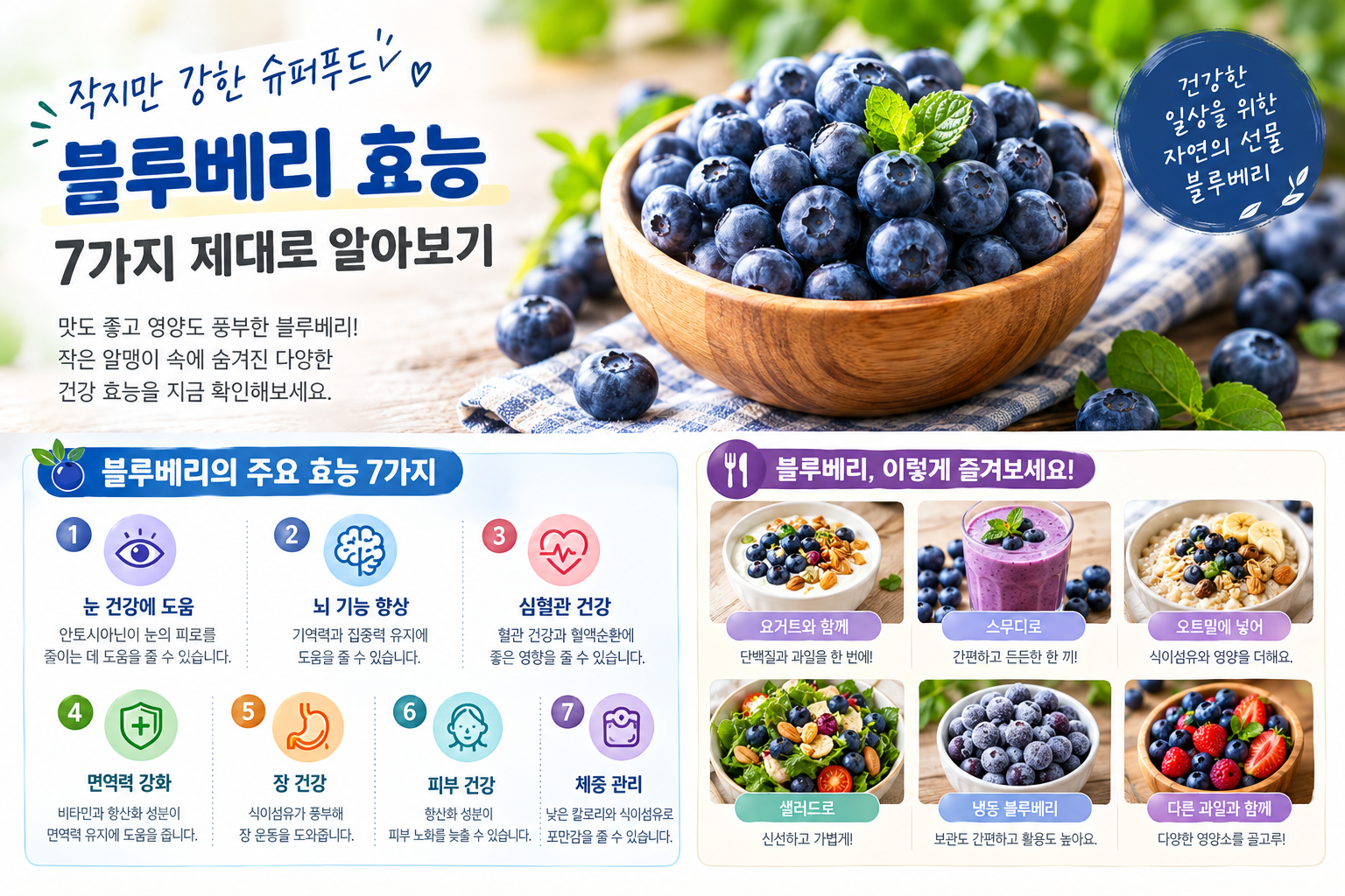 블루베리 효능 관련 자료