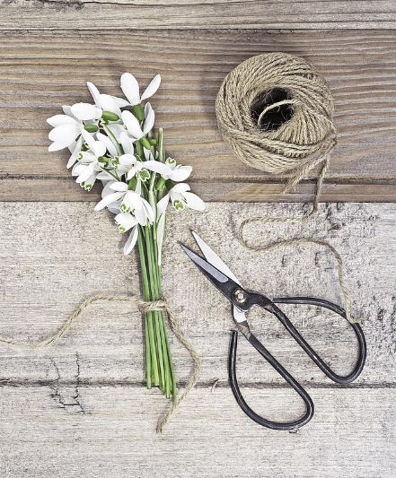 화훼 작업시설과 기기