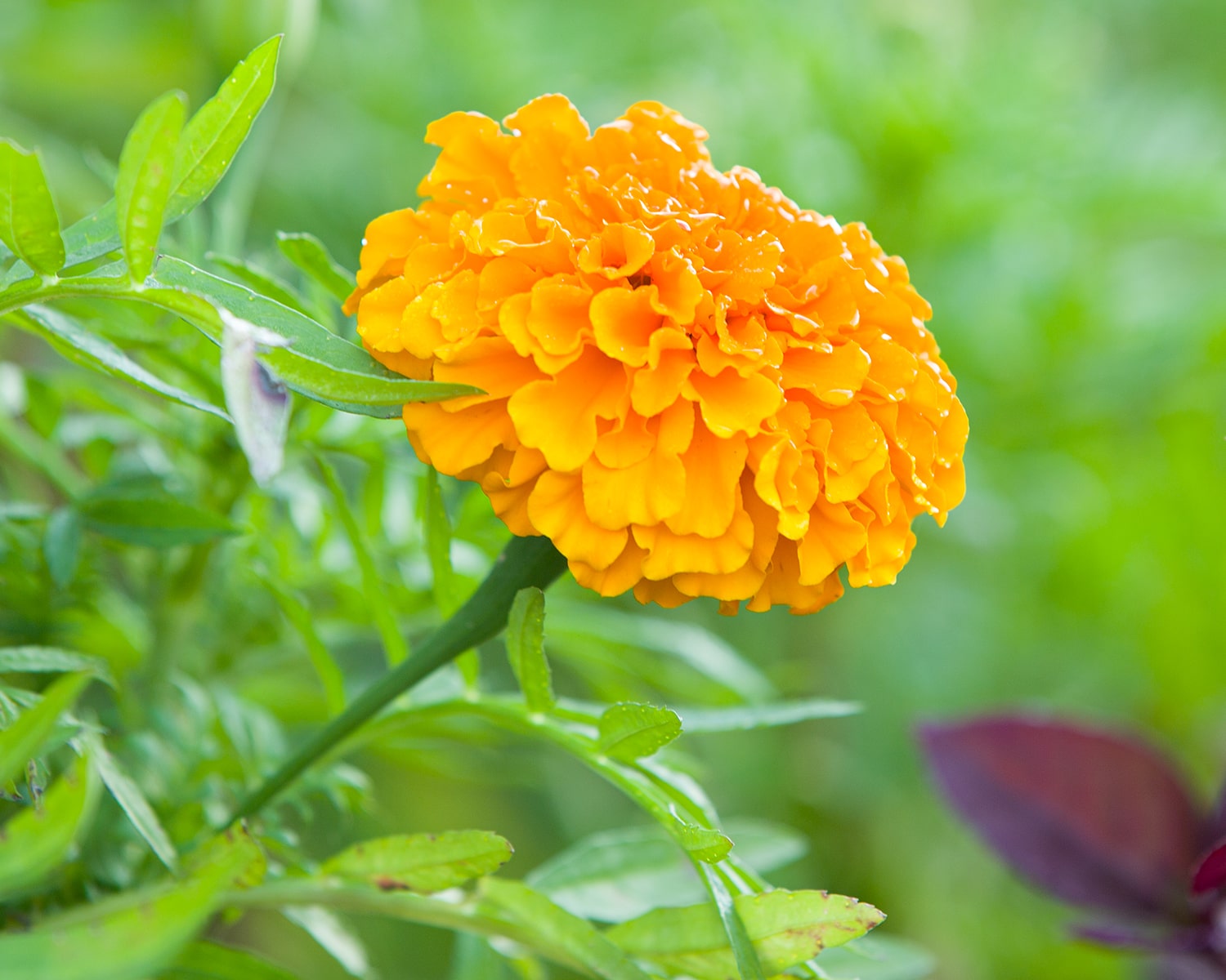 구리 한강공원- 33