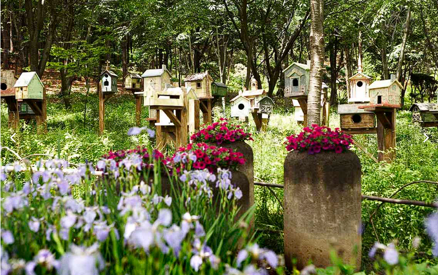 안산 식물원 매화, 카페 정보