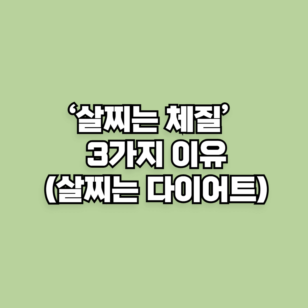 &lsquo;살찌는 체질&rsquo; 되는 3가지 이유와 절대 하면 안 되는 다이어트 방법