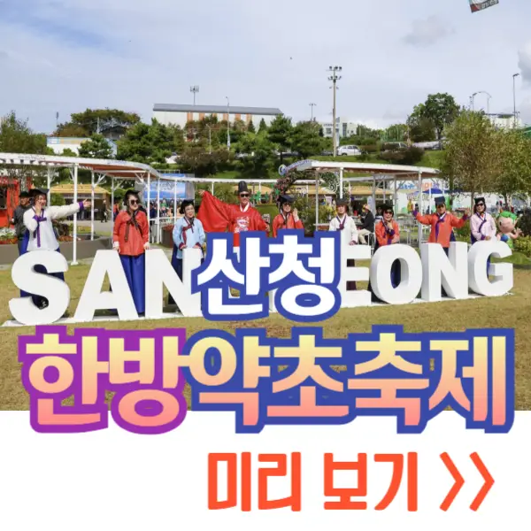 산청 한방약초축제