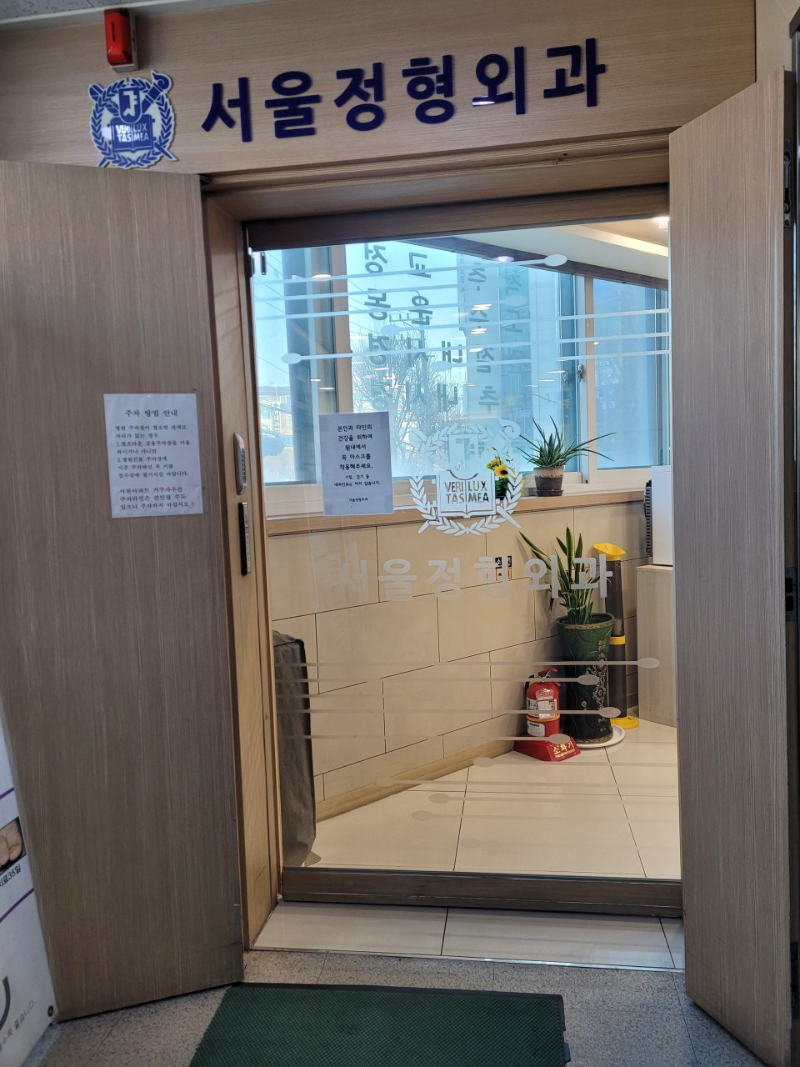 도봉구 도봉1동 정형외과 전문의 유명하고 잘하는 곳 추천 TOP 5