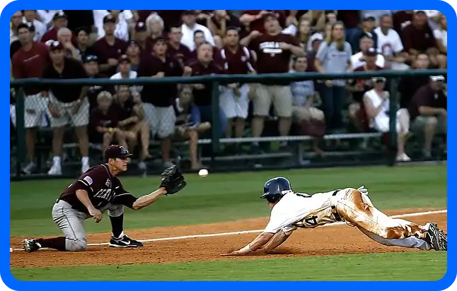 2024 WBSC 프리미어 12 일정표