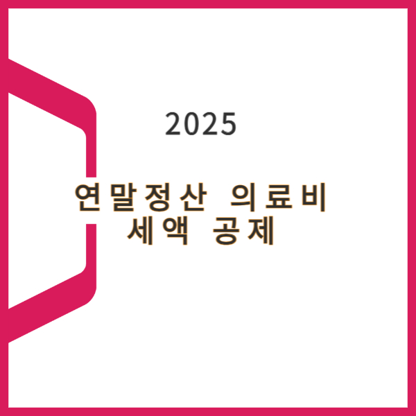 2025년-연말정산의료비공제