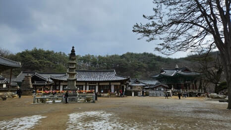 공주 마곡사 : 유네스코 세계유산이 품은 춘마곡의 아름다움과 백범의 발자취를 따라서