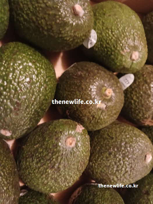 아보카도 효능 눈 건강 루테인 제아잔틴