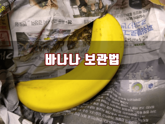 바나나 보관법