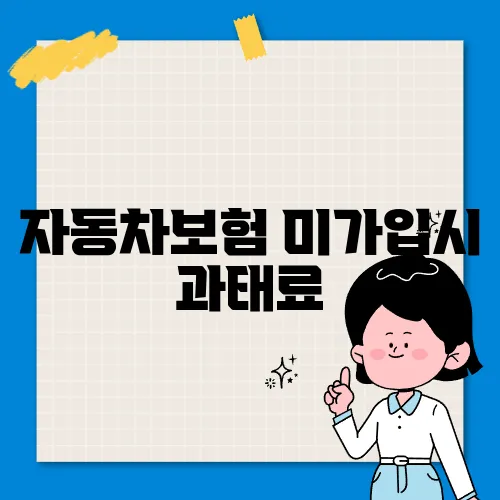 자동차보험 미가입시 과태료
