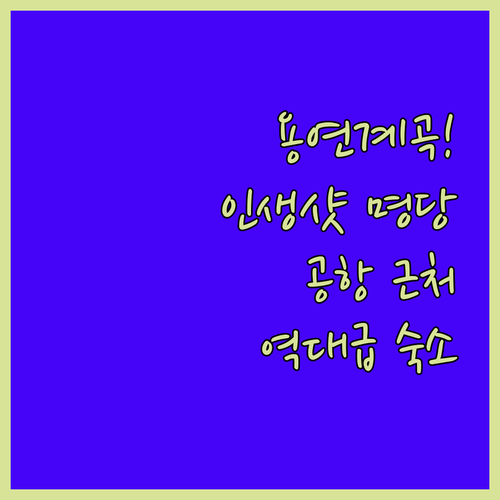 제주 용연계곡 출렁다리 촬영 꿀팁과 ..