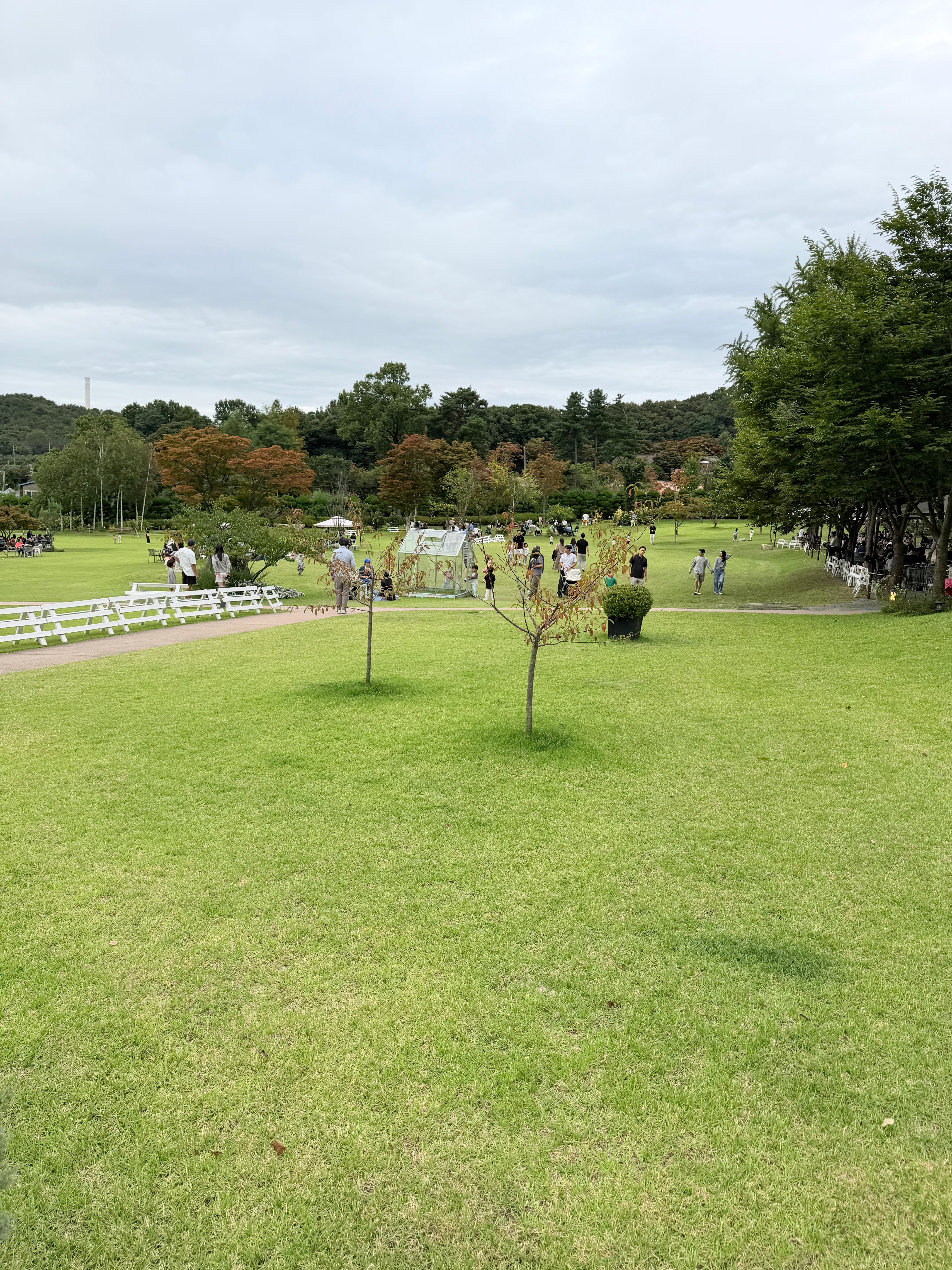 파크프리베 외부 잔디밭 사진