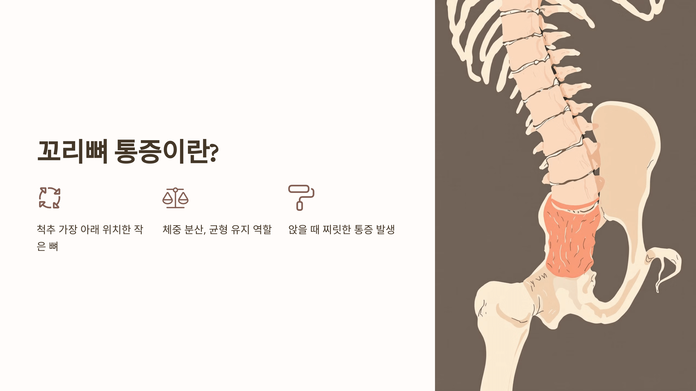 꼬리뼈 사진입니다.