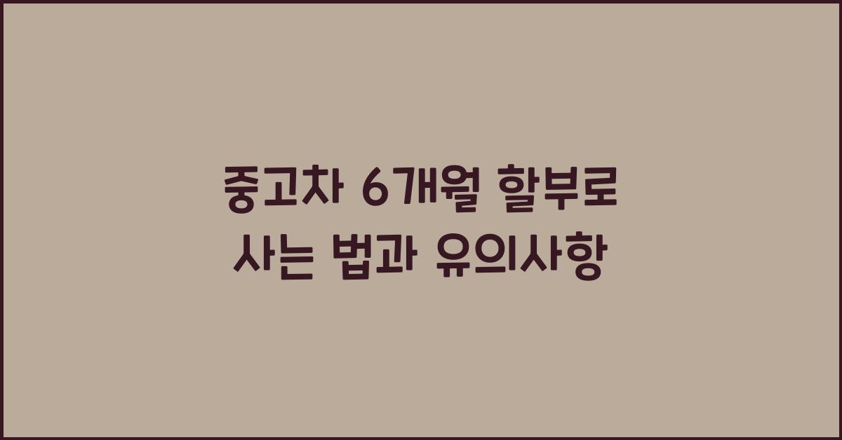 중고차 6개월 할부